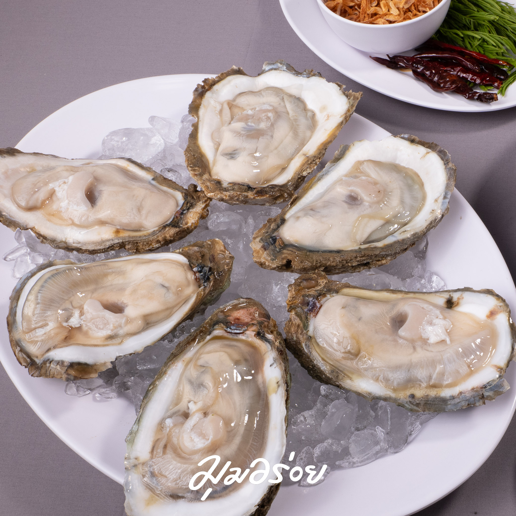 หอยนางรมใหญ่