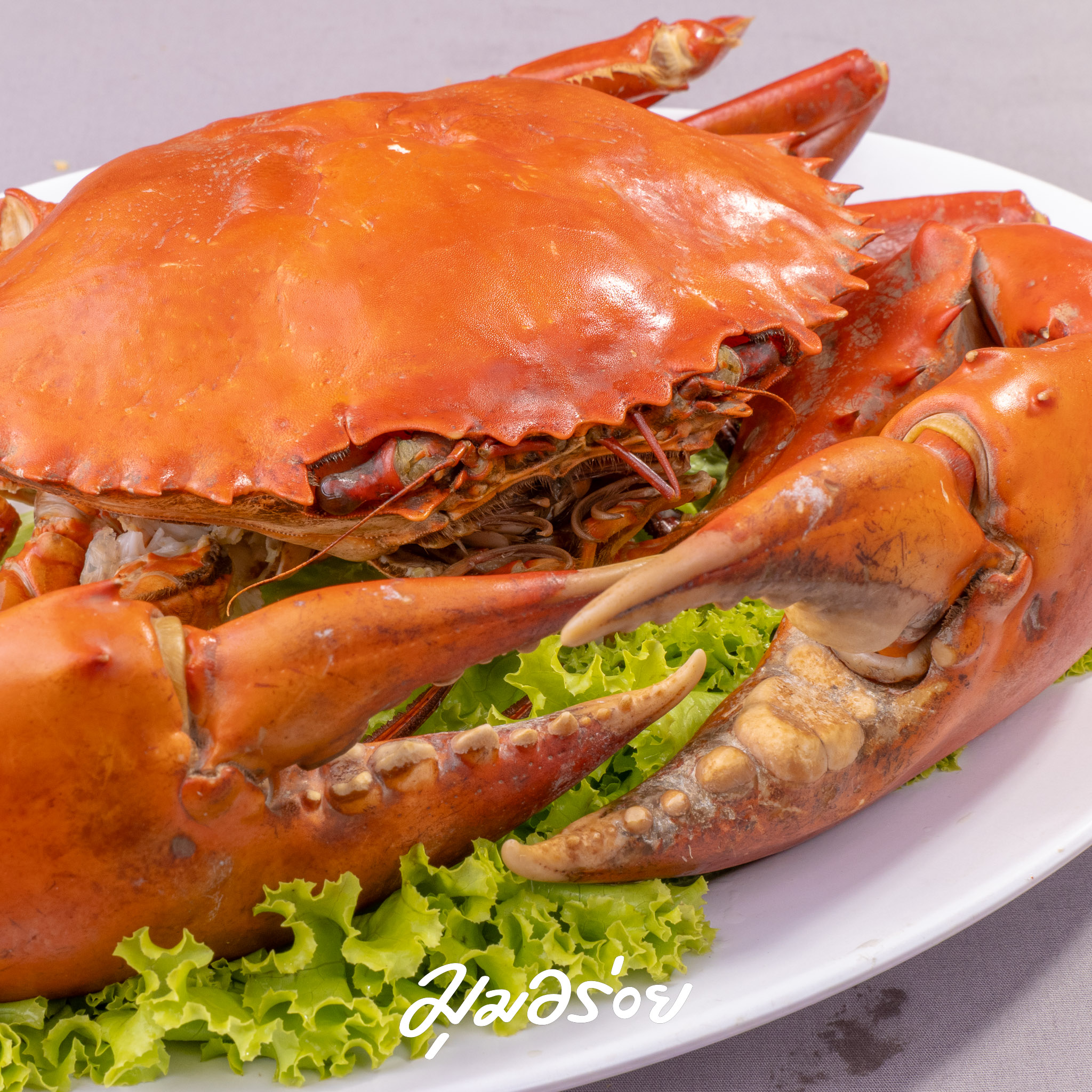 ปูทะเลนึ่ง